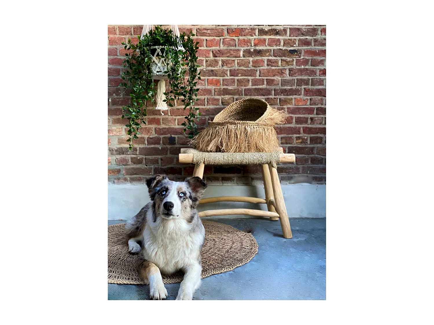 Tabouret Porto chic en jonc de mer