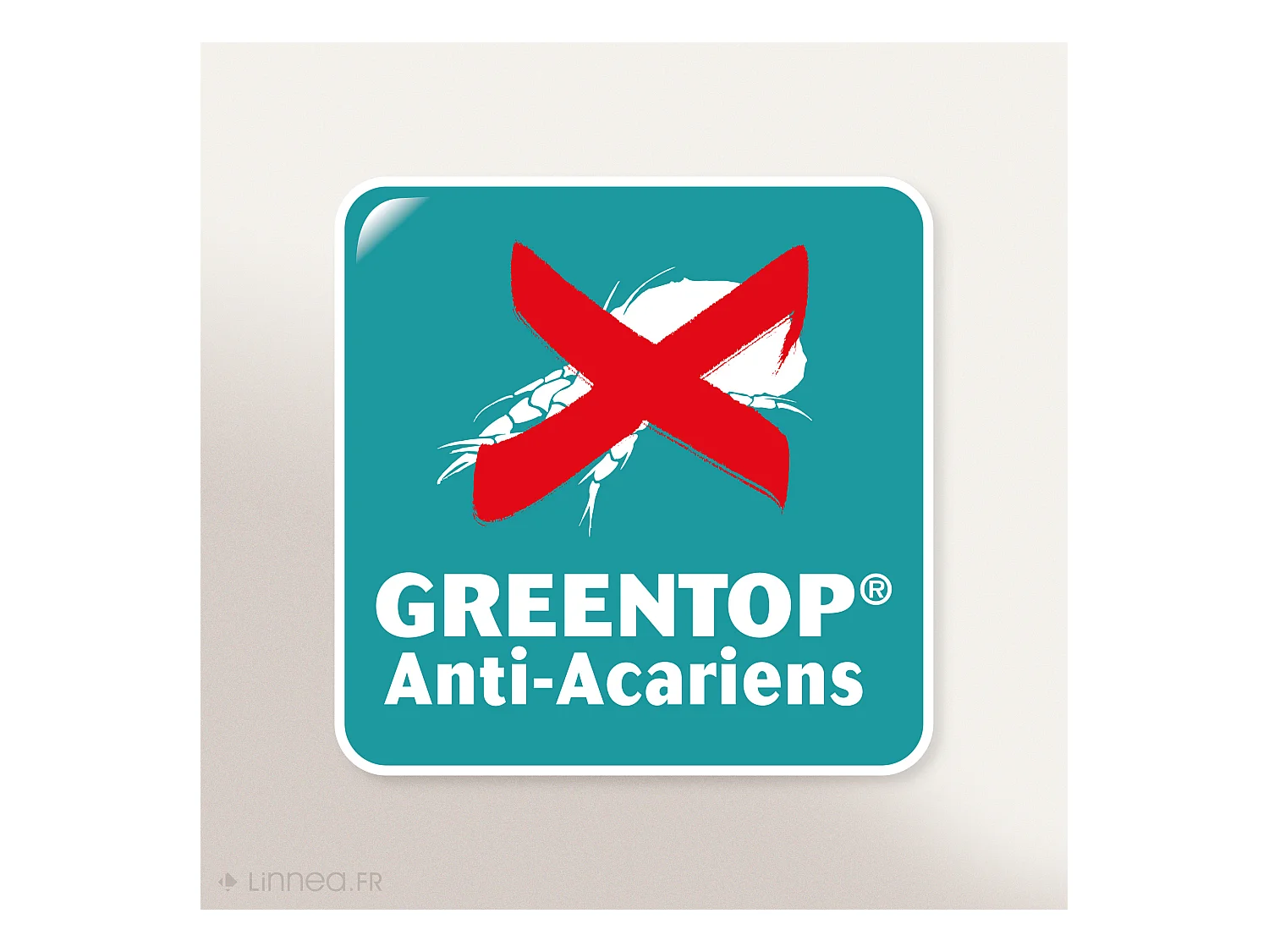 Protège matelas 2x70x190 cm ANTONIN Spécial lit articulé TPR Molleton absorbant traité anti-acariens Grand bonnet 30cm