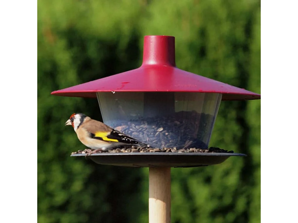 Mangeoire à oiseaux en plastique Cap