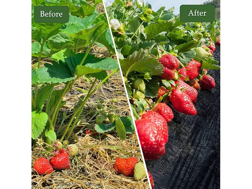 Dripex Toiles de Paillage 1m x 10m, Toile Anti Mauvaises Herbes Jardin 90g/㎡, Geotextile, Bache Noire Agricole, Tissu Perméable à l'eau