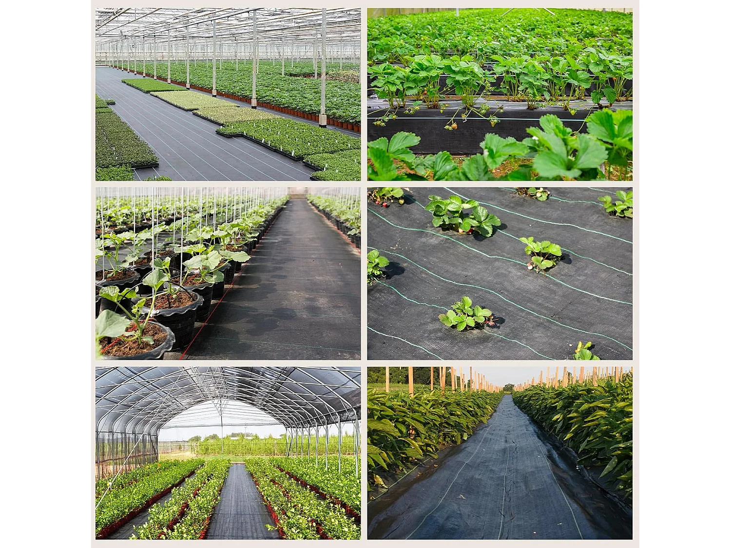 Dripex Toiles de Paillage 3m x 10m, Toile Anti Mauvaises Herbes Jardin 90g/㎡, Geotextile, Bache Noire Agricole, Tissu Perméable à l'eau