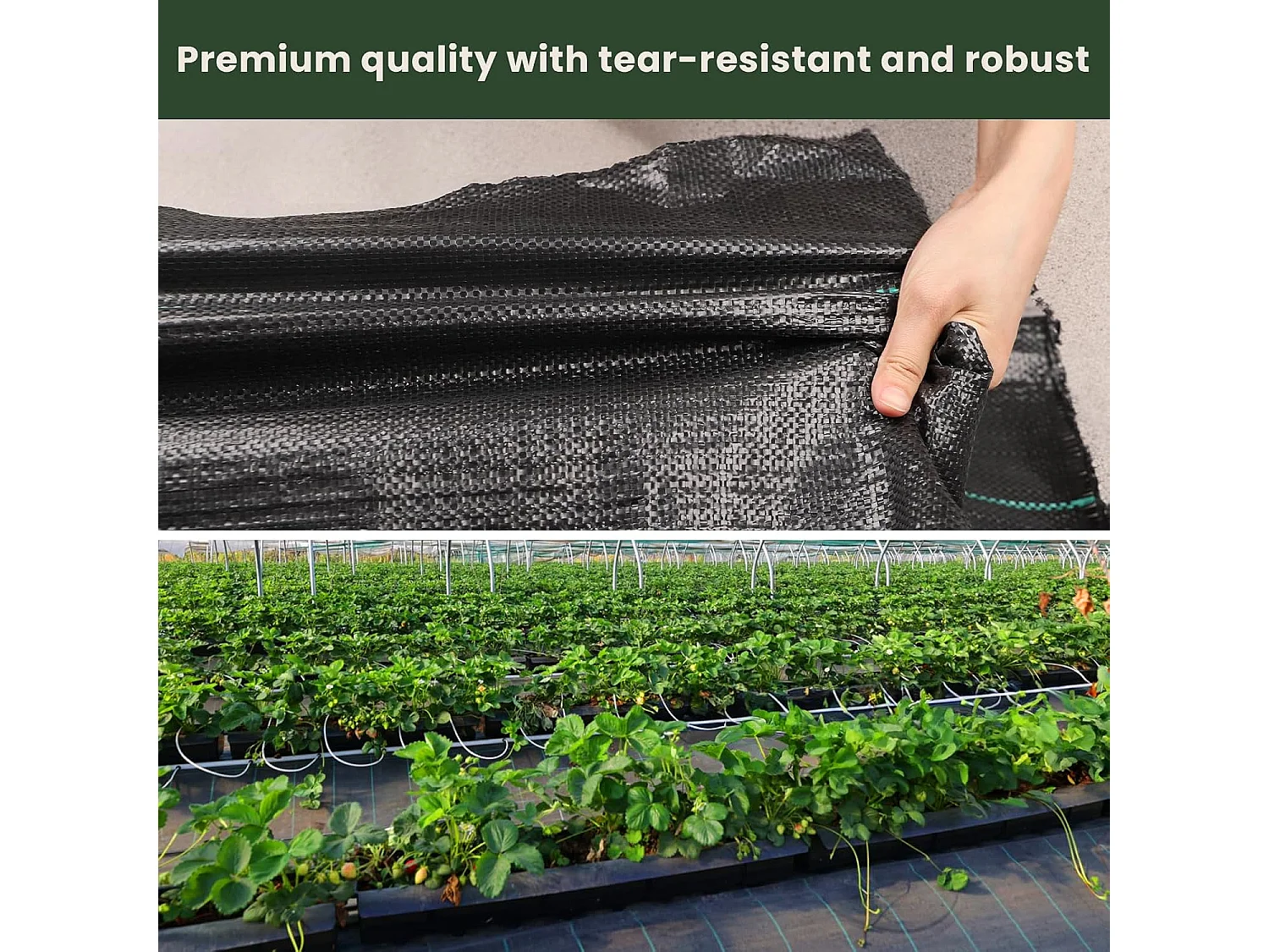 Dripex Toiles de Paillage 2m x 25m, Toile Anti Mauvaises Herbes Jardin 90g/㎡, Geotextile, Bache Noire Agricole, Tissu Perméable à l'eau