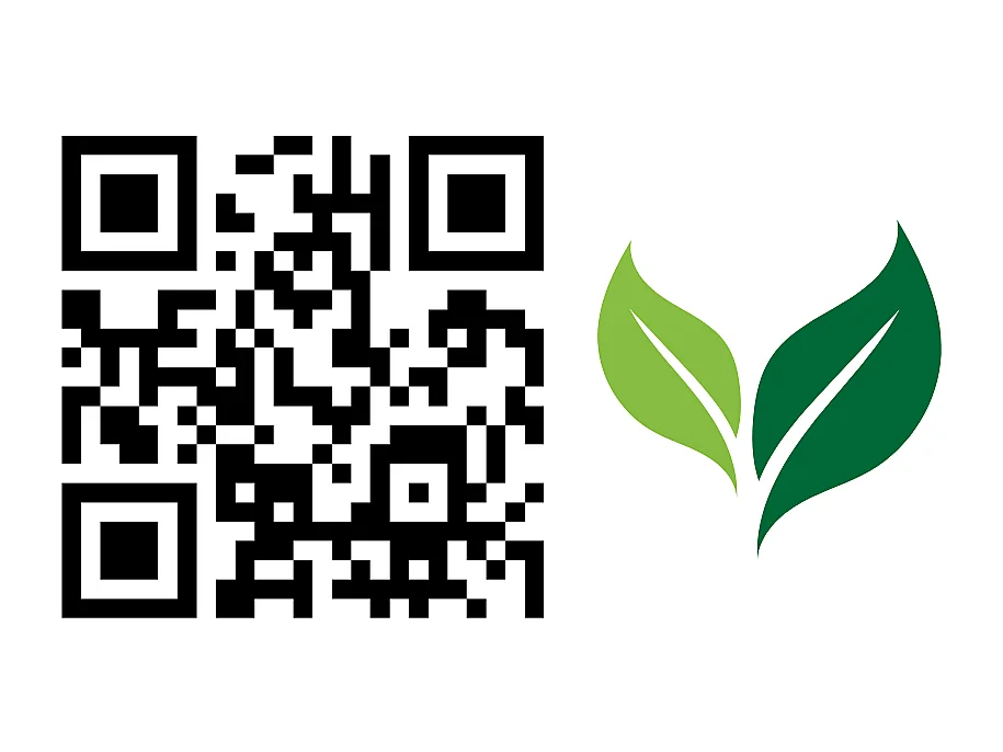 Armoire coulissante avec miroir et lames MALANI 200 - Chêne Craft Doré + Graphite