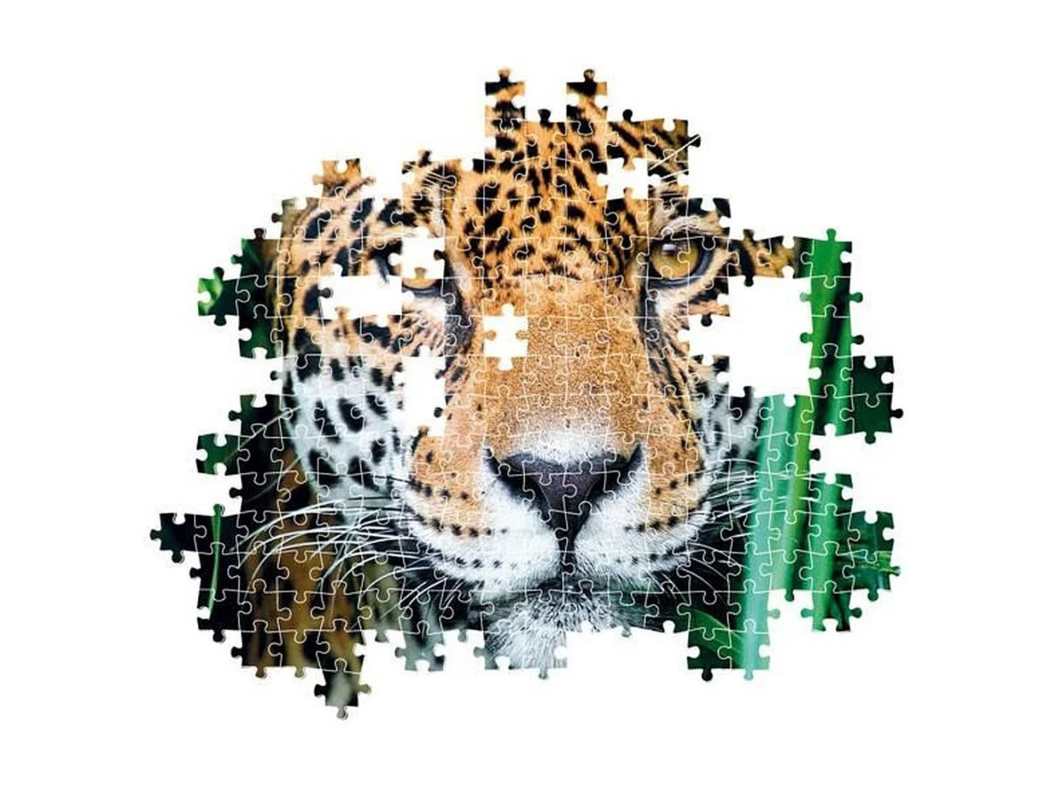 Quebra-cabeça Clementoni 500 peças Jaguar na selva - Multicolorido, formato horizontal 49x36 cm, a partir de 10 anos