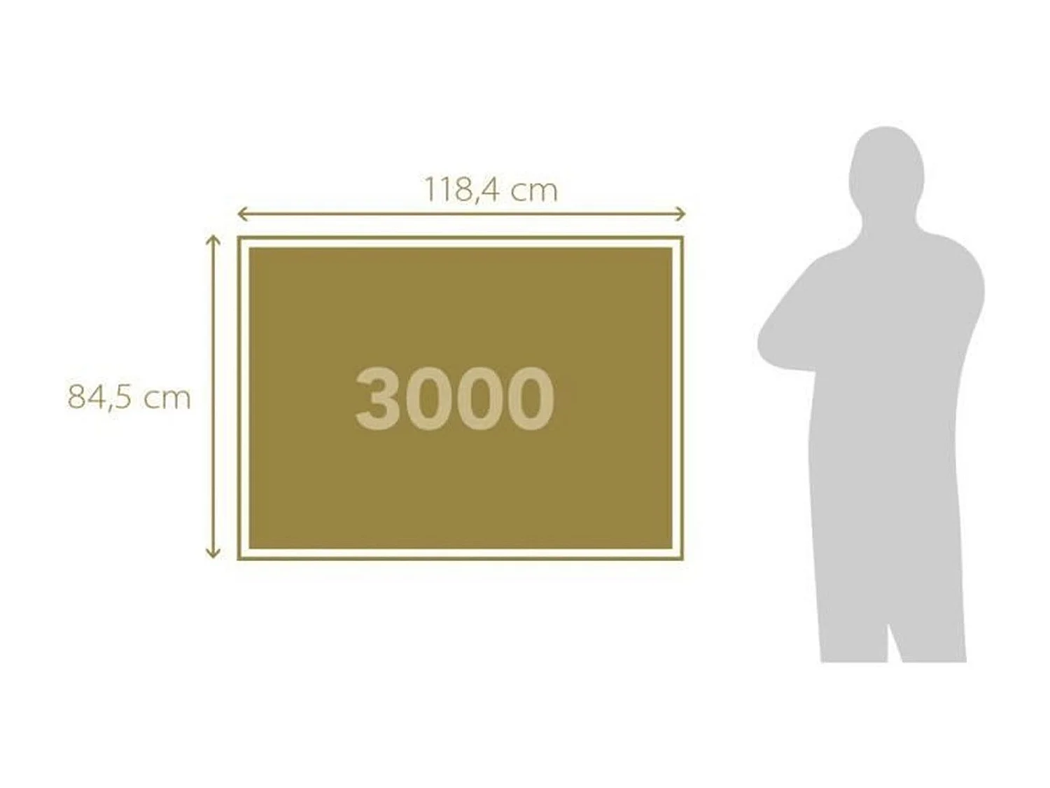 Puzzle The Houses of Parliament 3000 pièces