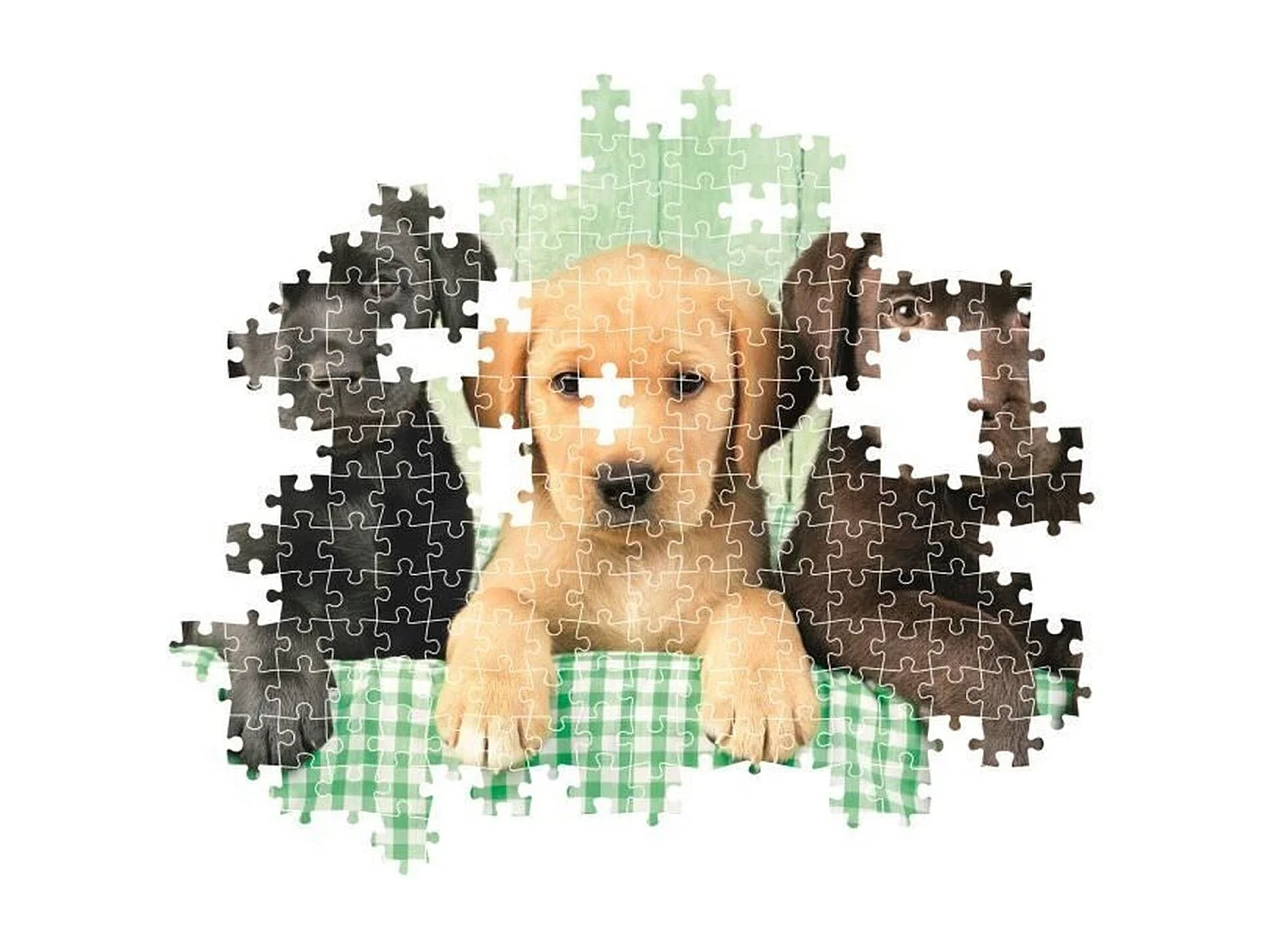 Puzzle Trois labradors 1000 pièces