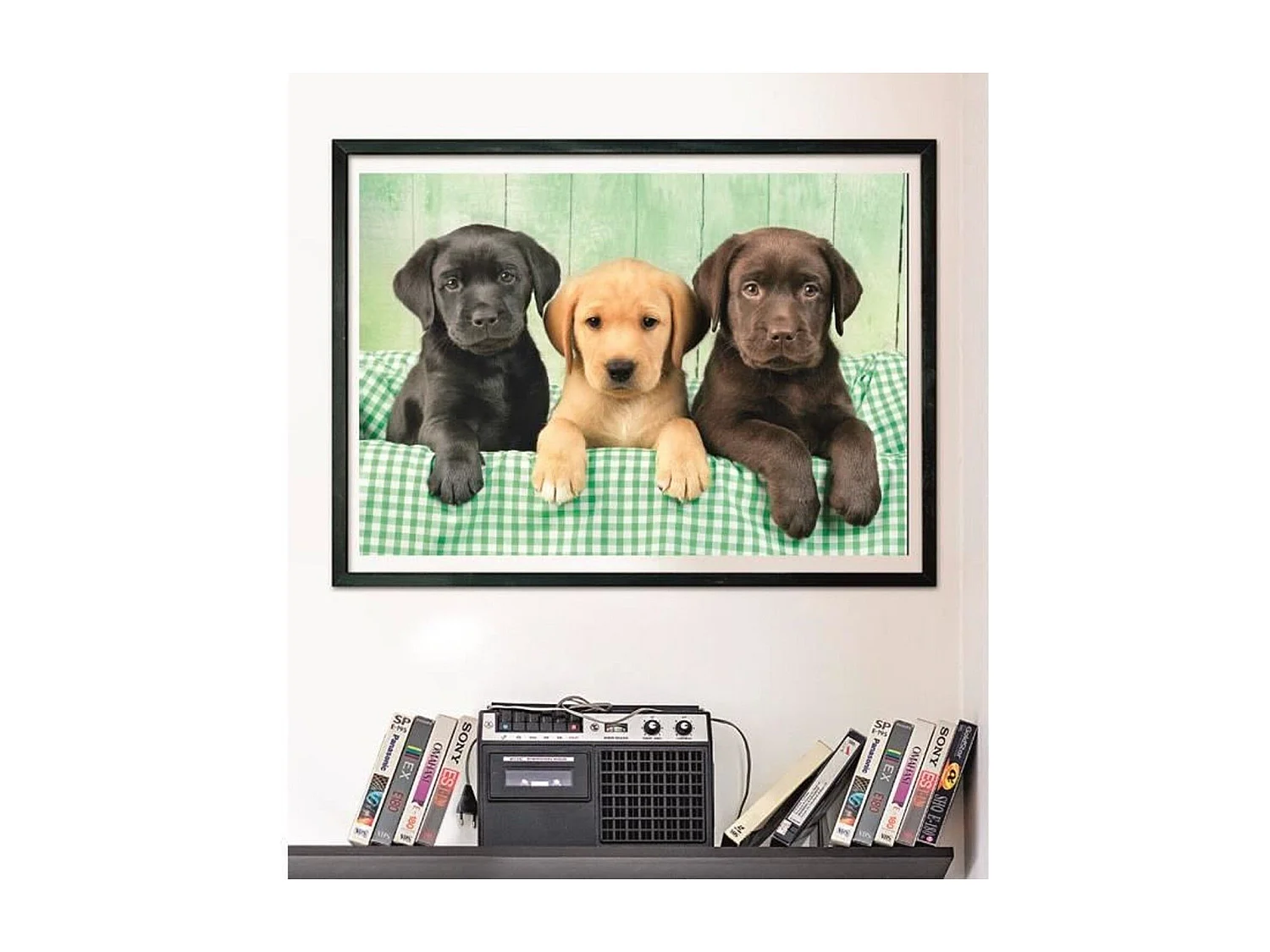 Puzzle Trois labradors 1000 pièces