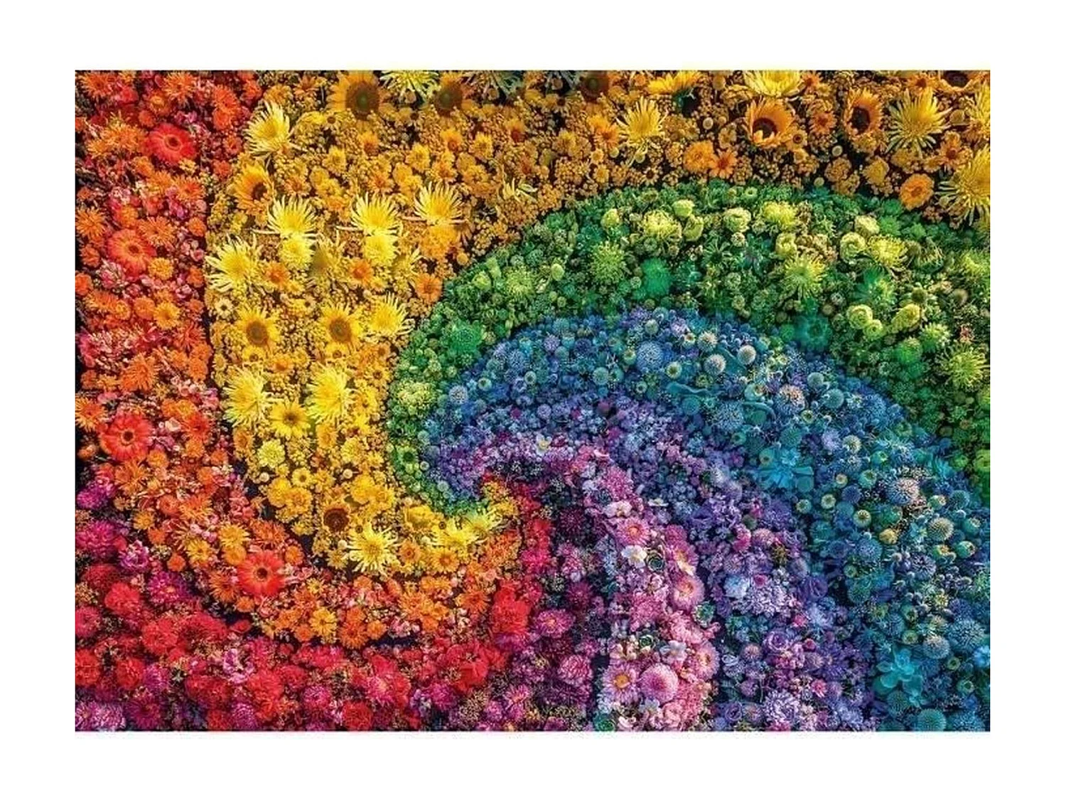 Puzzle - Clementoni - Colorboom collection - 1000 pieces - Couleurs vibrantes - Design original