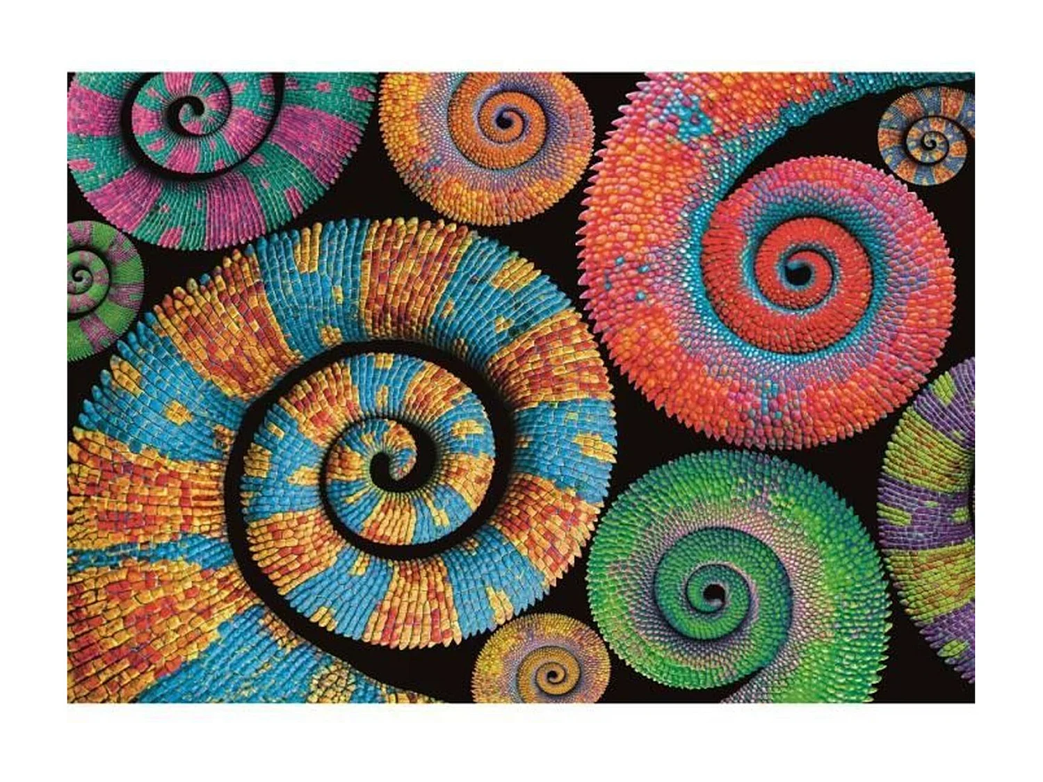 Clementoni - 500 stuks Colorboom Curly - 49 x 36 cm