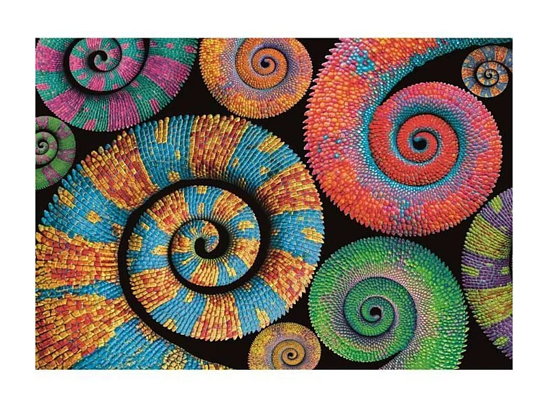 Clementoni - 500 stuks Colorboom Curly - 49 x 36 cm