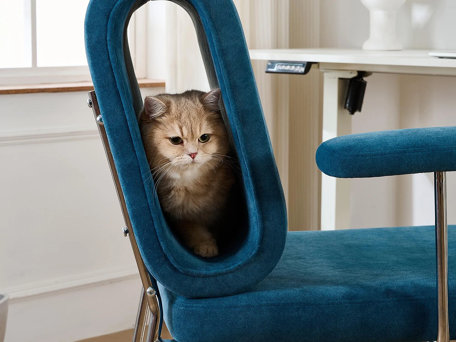 PRÈS - Fauteuil avec Niche pour Chat, Ergonomique et Résistant aux Griffes - Pour Bureau à Domicile et Séjour