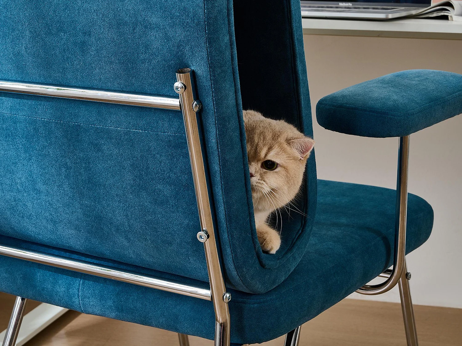 PRÈS - Fauteuil avec Niche pour Chat, Ergonomique et Résistant aux Griffes - Pour Bureau à Domicile et Séjour