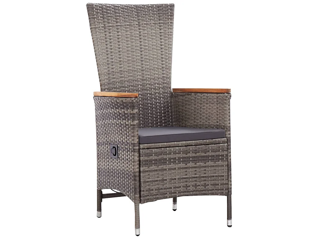 11-delige Tuinset met kussens poly rattan grijs