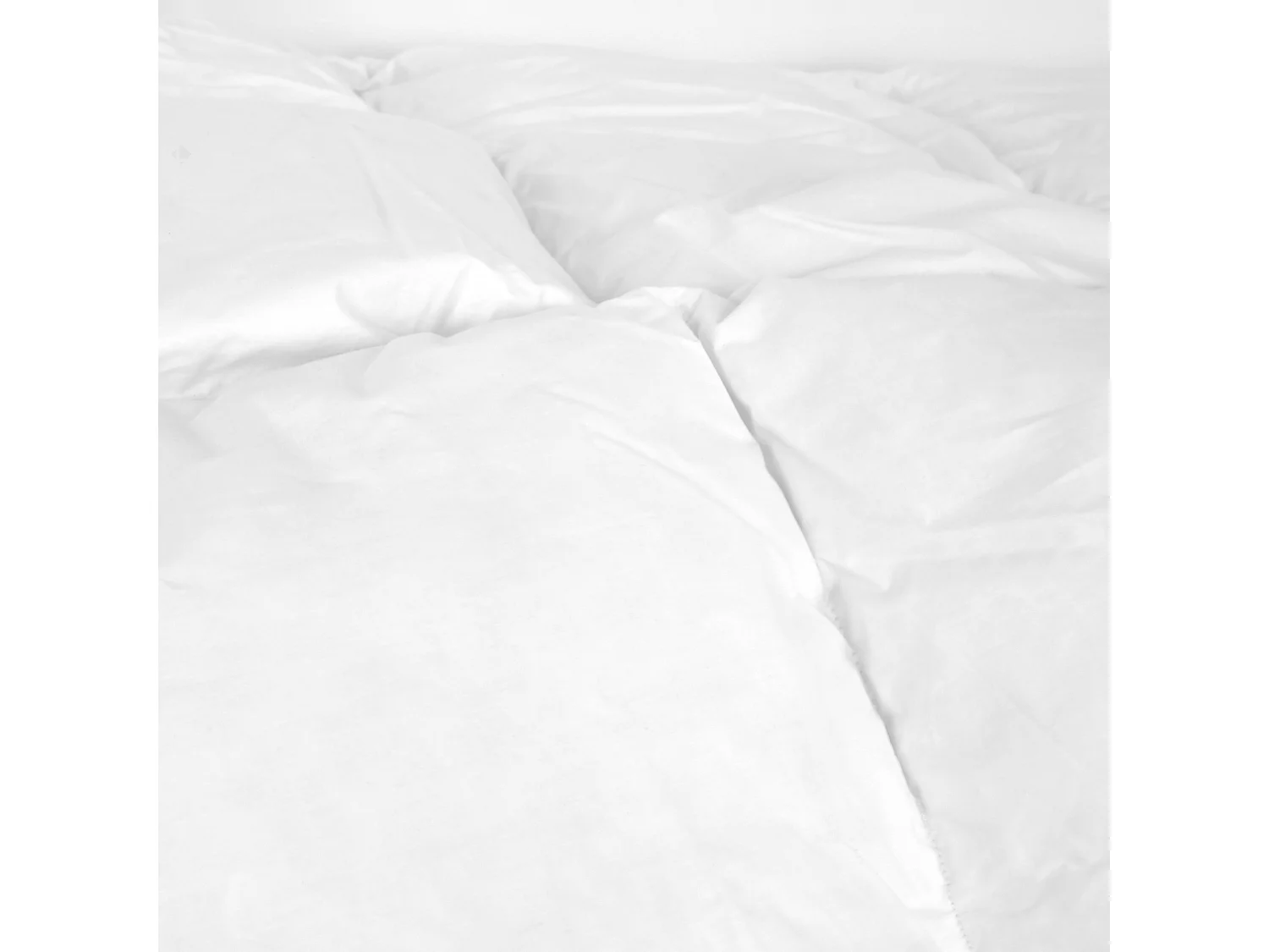 Couette 240x220 cm hiver CAP NORD garnissage naturel duvet d'oie 400 g/m2