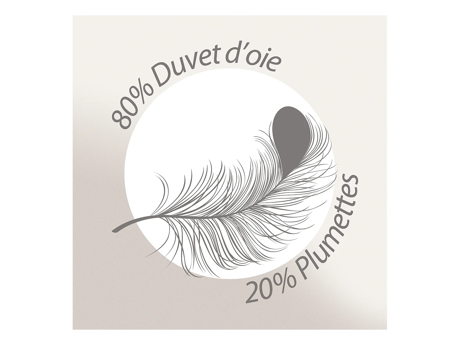 Couette 160x200 cm hiver CAP NORD garnissage naturel duvet d'oie 400 g/m2