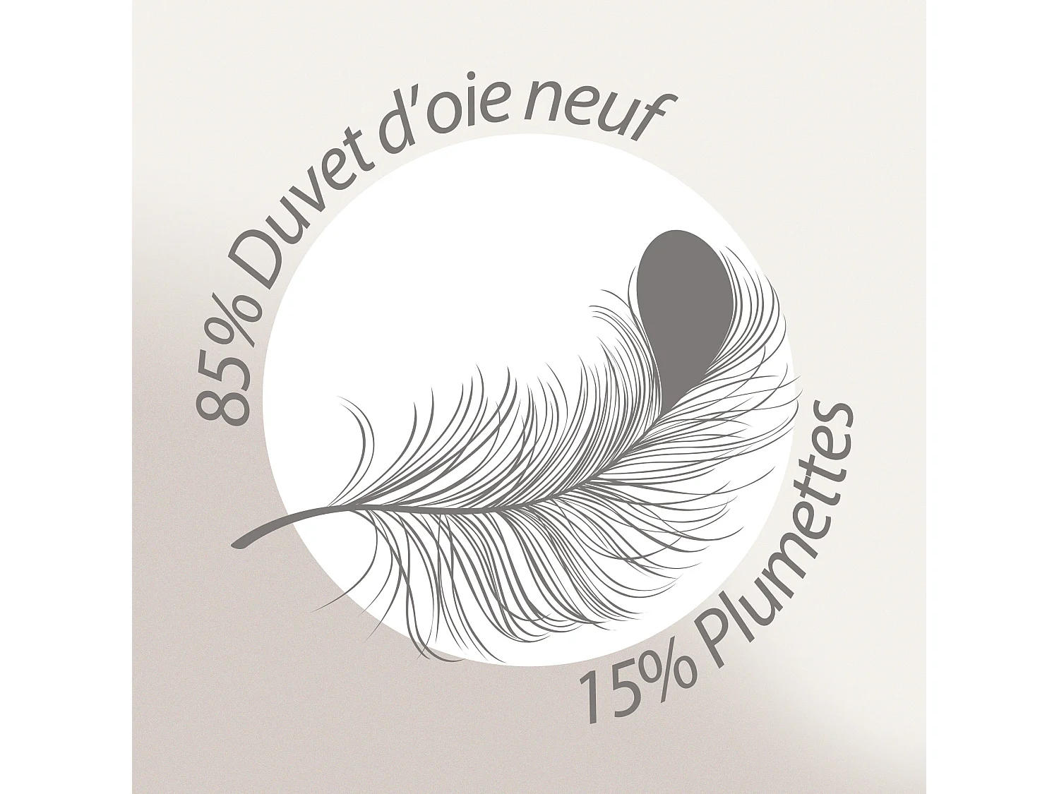 Couette 240x220 cm hiver VELAY LUXE garnissage naturel duvet d'oie 400 g/m2