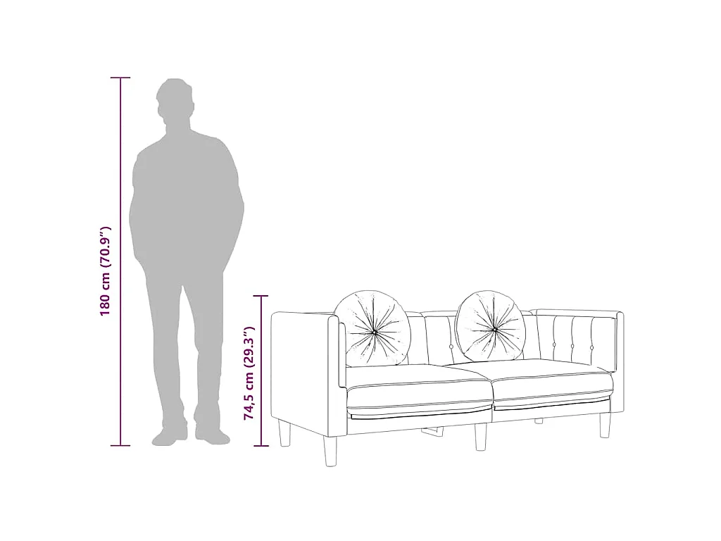 Canapé avec coussins 2 places bleu velours