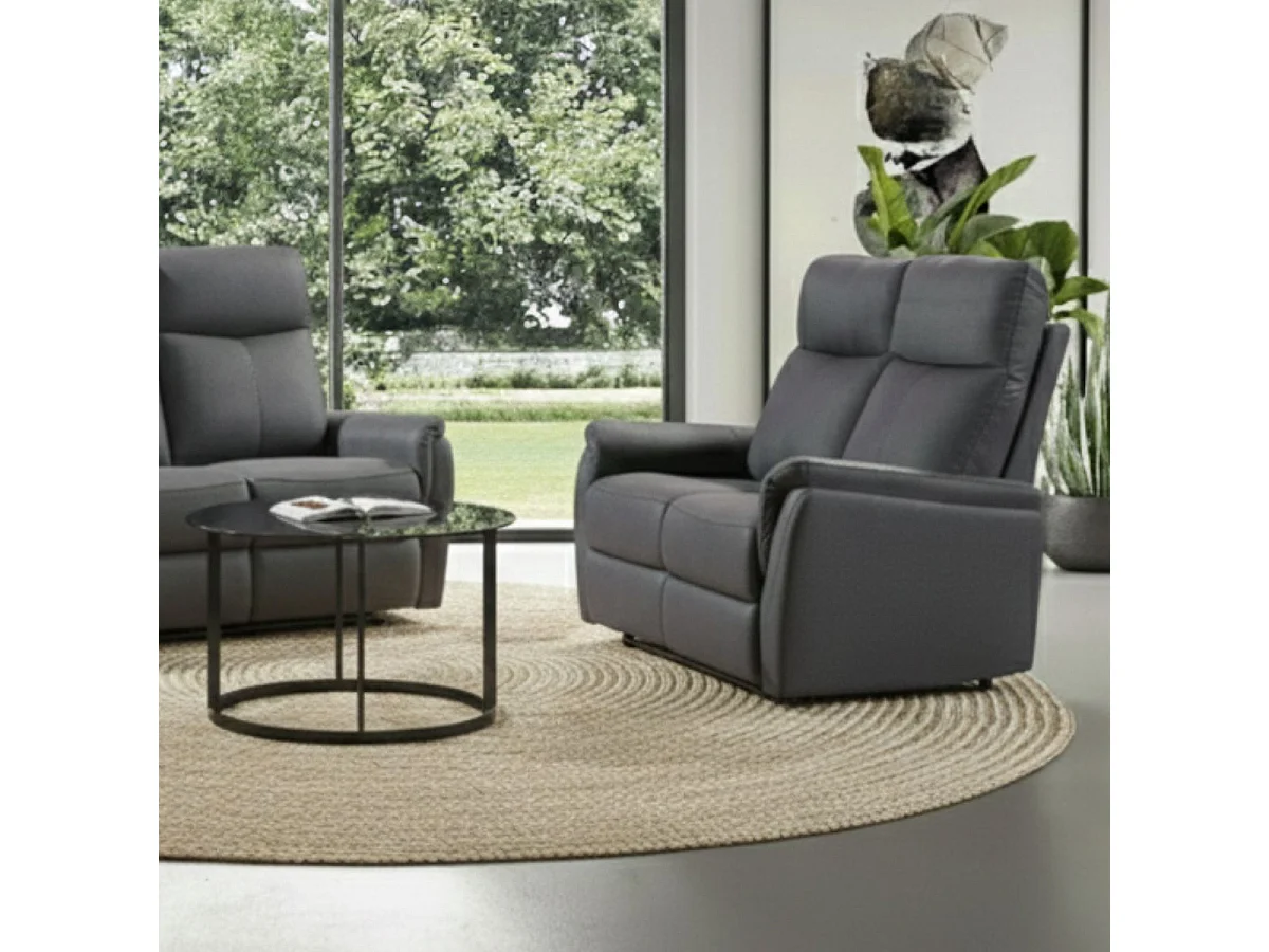 Canapé 2 places fixe tissu polyester imitation cuir gris foncé - GIACOMO