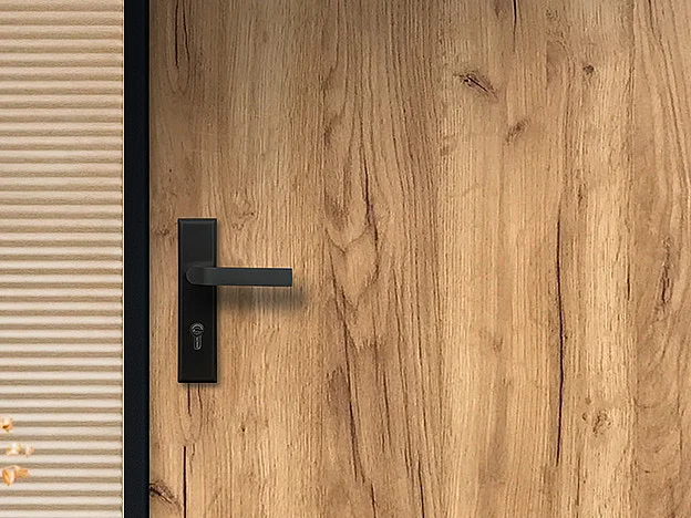 Porte d'entrée en acier pleine H207 x L100 cm effet chêne - épaisseur 68 mm - poussant droit - AGUEDA