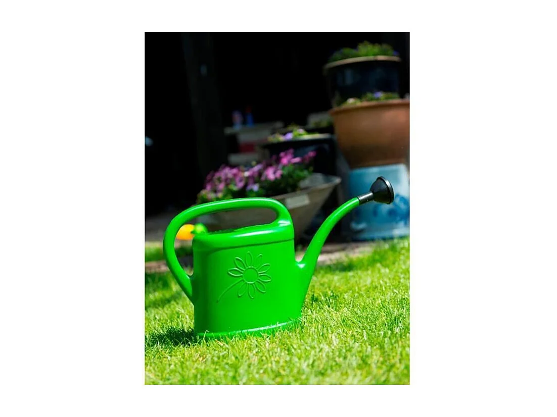 Arrosoir de jardin PE - 2 L - Vert