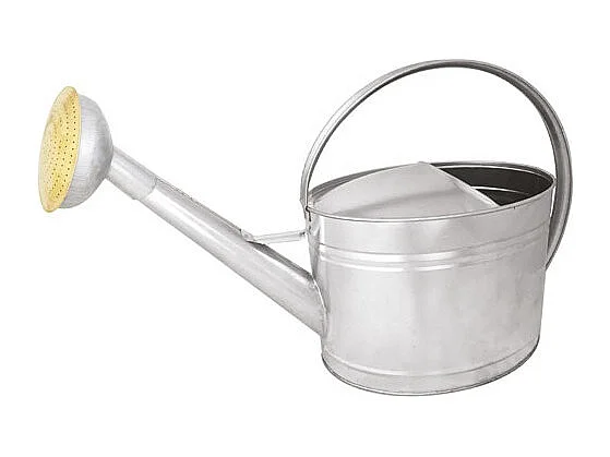 Guillouard Arrosoir acier galva de 10l - 020520-1