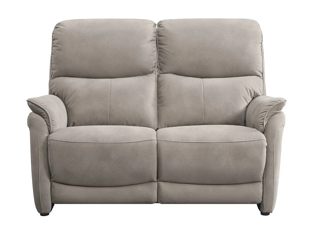 Canapé 2 places fixe tissu polyester imitation peau gris clair - SULTAN