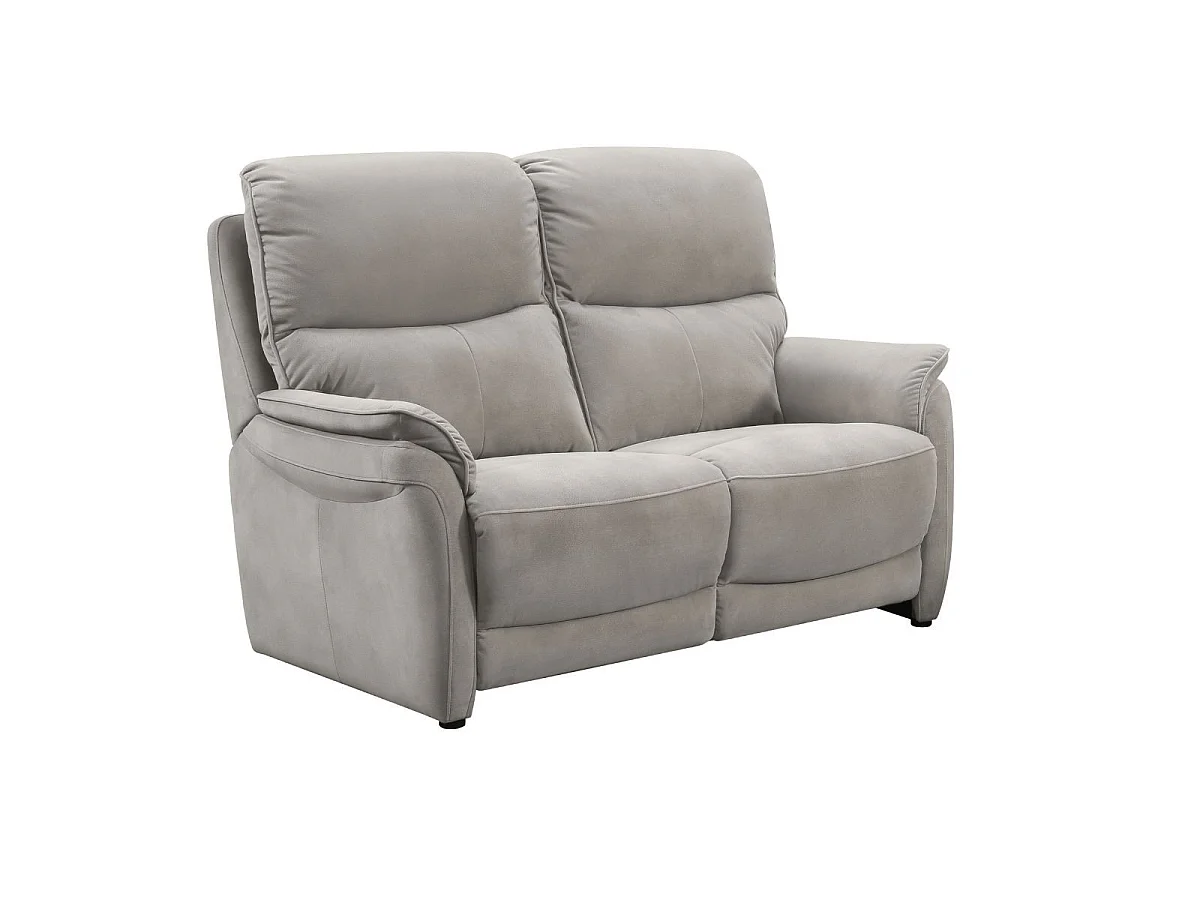 Canapé 2 places fixe tissu polyester imitation peau gris clair - SULTAN