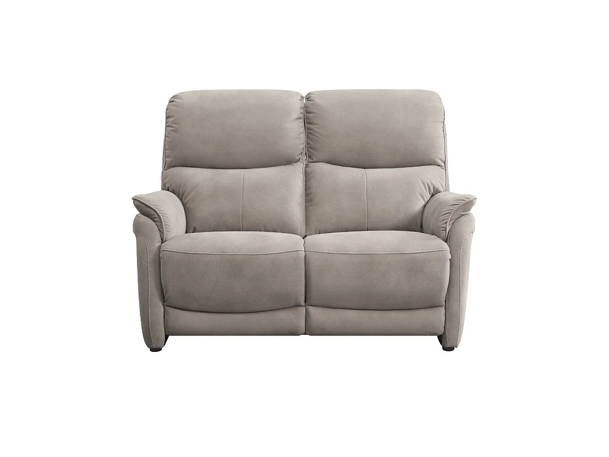 Canapé 2 places fixe tissu polyester imitation peau gris clair - SULTAN