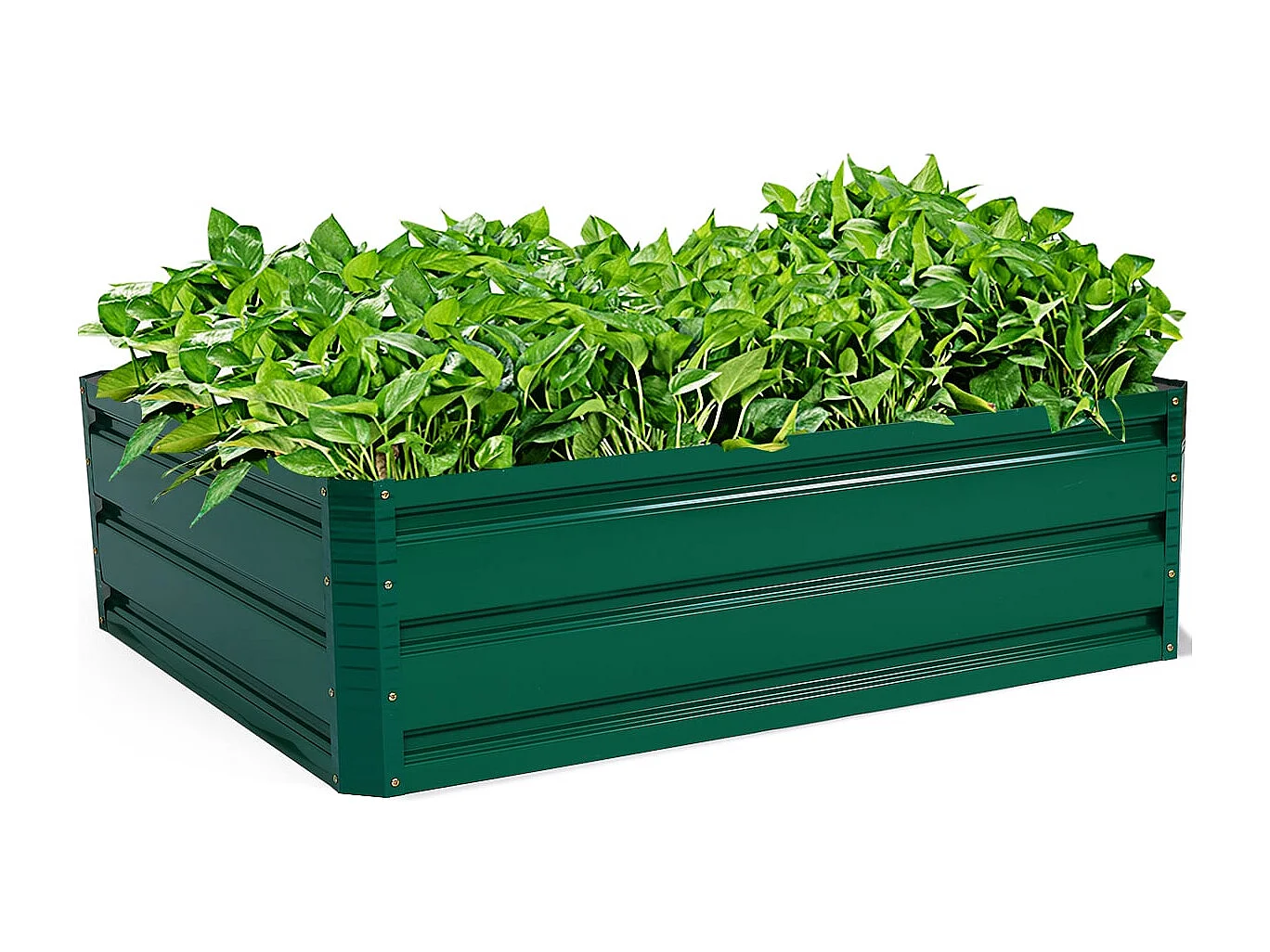 Letto rialzato in acciaio Fioriera rettangolare Letto rialzato da giardino Struttura a freddo per ortaggi Fiori Erbe Verde 100 x 30,5 x 80 cm