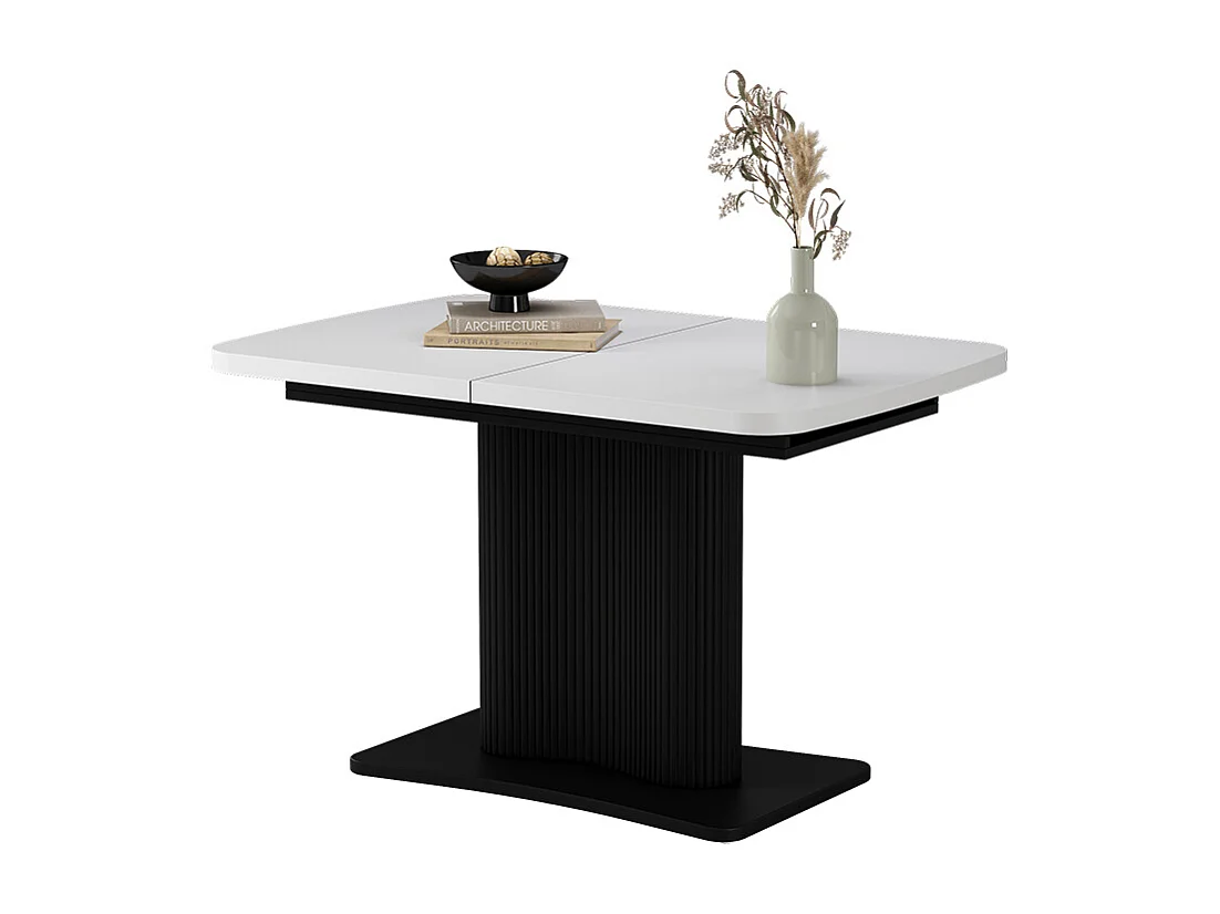 Table de salle à manger blanc/noir 120x80x77.4 fenaro