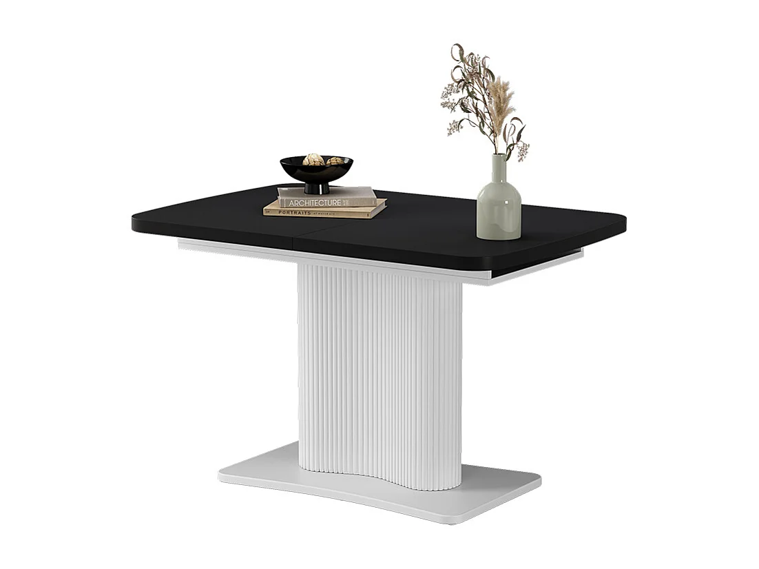 Esstisch schwarz/weiß 120x80x77.4 fenaro