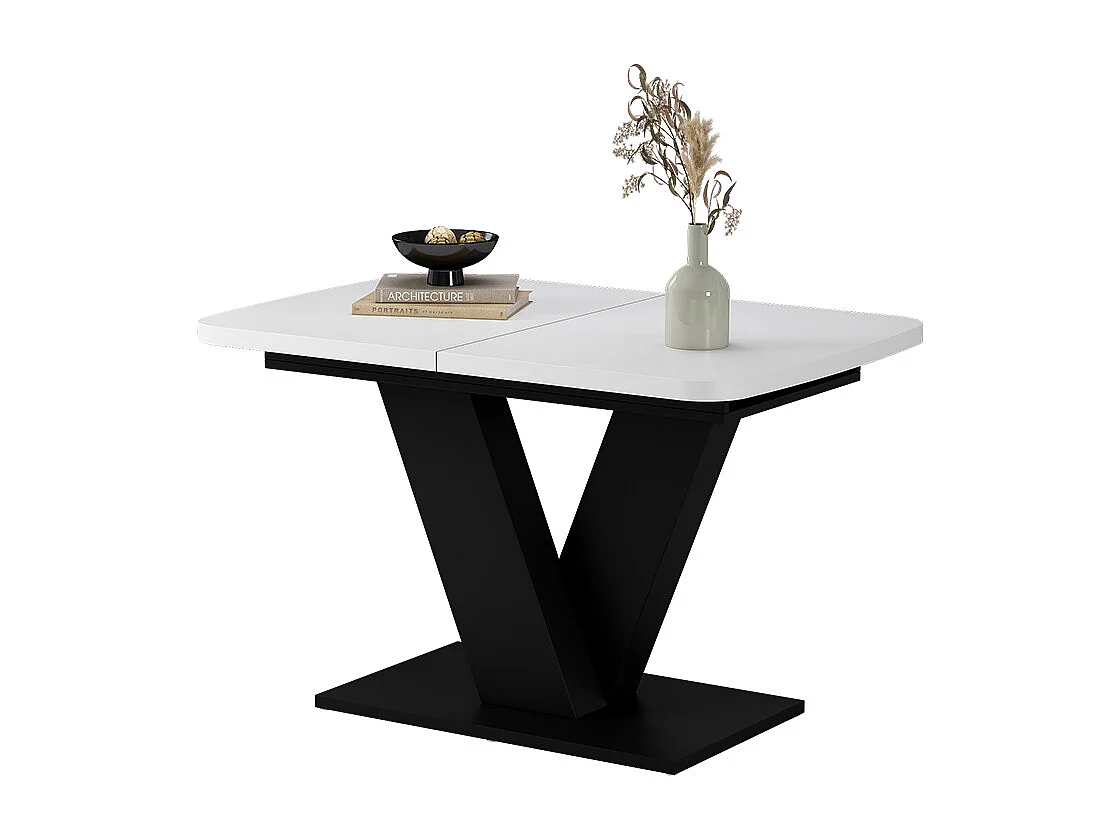 Table de salle à manger blanc/noir 120x80x77.4 fenaro