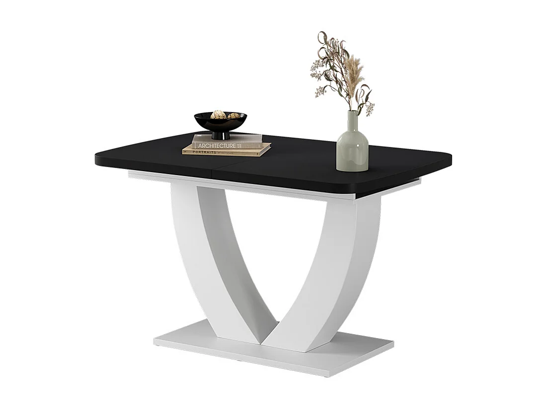 Table de salle à manger noir/blanc 120x80x77.4 fenaro