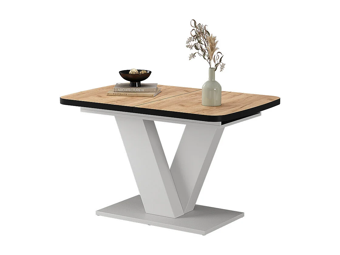 Table de salle à manger noir/blanc 120x80x77.4 fenaro