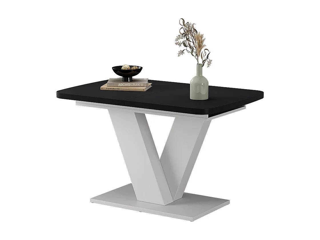 Table de salle à manger noir/blanc 120x80x77.4 fenaro