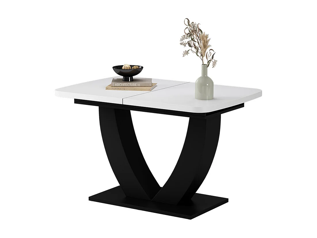 Table de salle à manger blanc/noir 120x80x77.4 fenaro