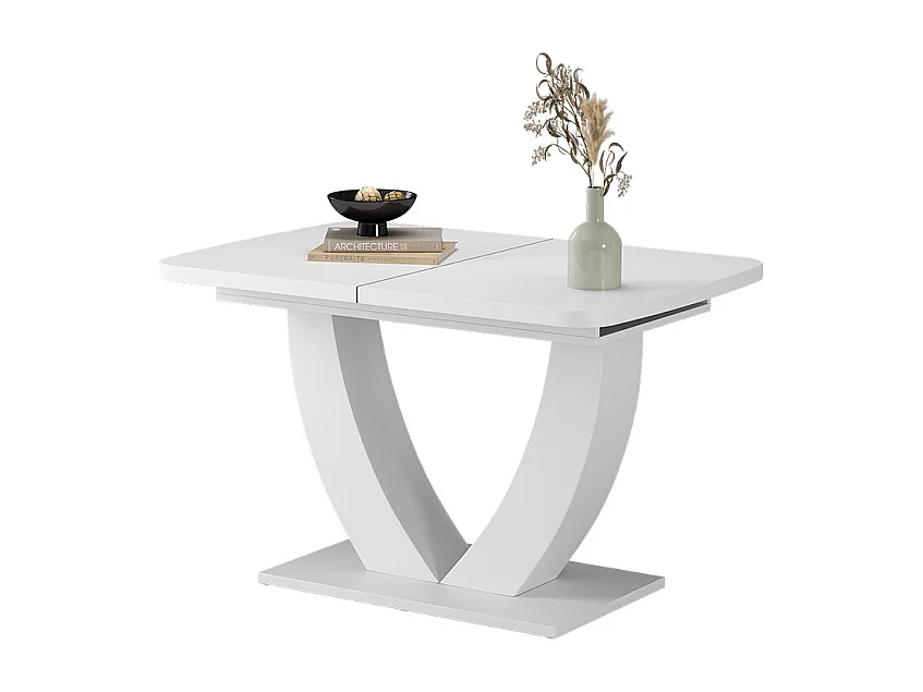 Table de salle à manger blanc 120x80x77.4 fenaro