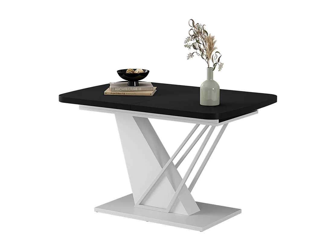 Table de salle à manger noir/blanc 120x80x77.4 fenaro