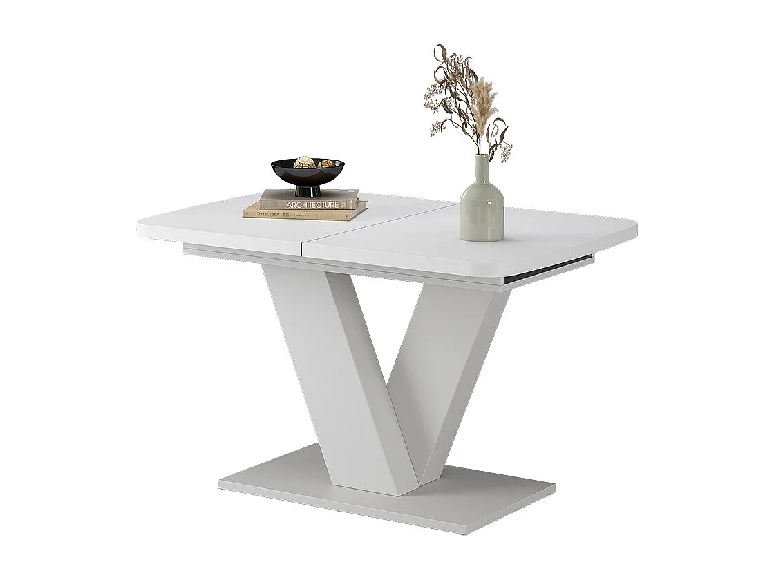 Table de salle à manger blanc/blanc 120x80x77.4 fenaro