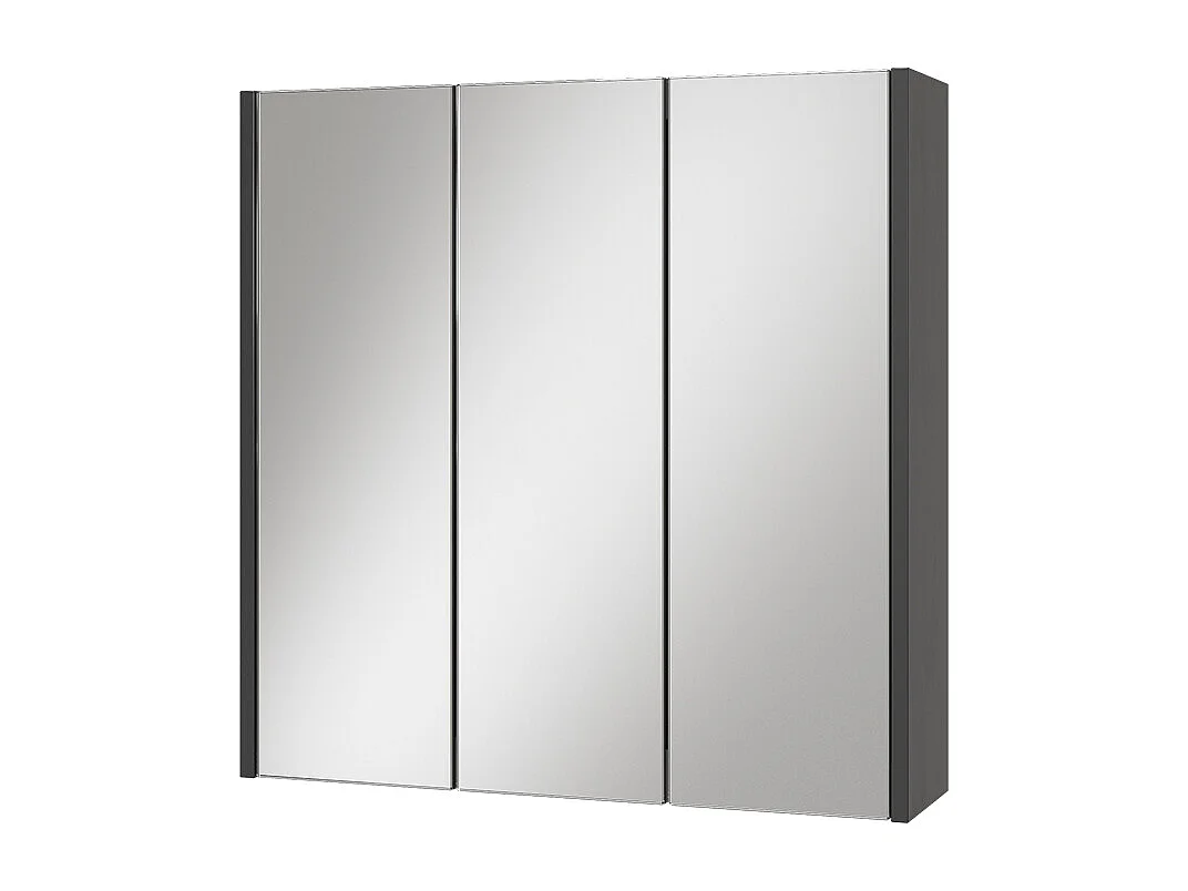 Badkamerspiegelkast antraciet 67.4x17x68 majest