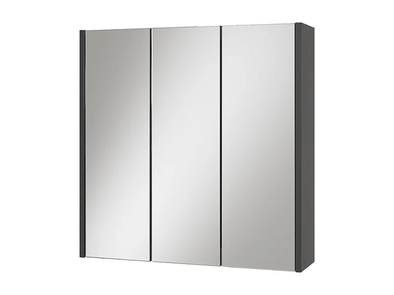 Badkamerspiegelkast antraciet 67.4x17x68 majest