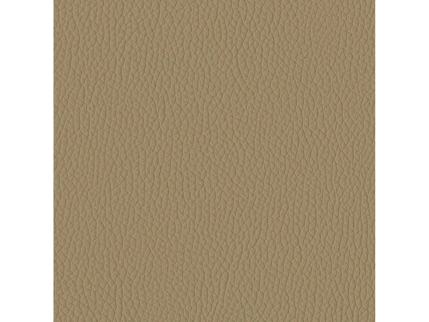 Set van 2 stoelen met antracietgrijs champagne leer