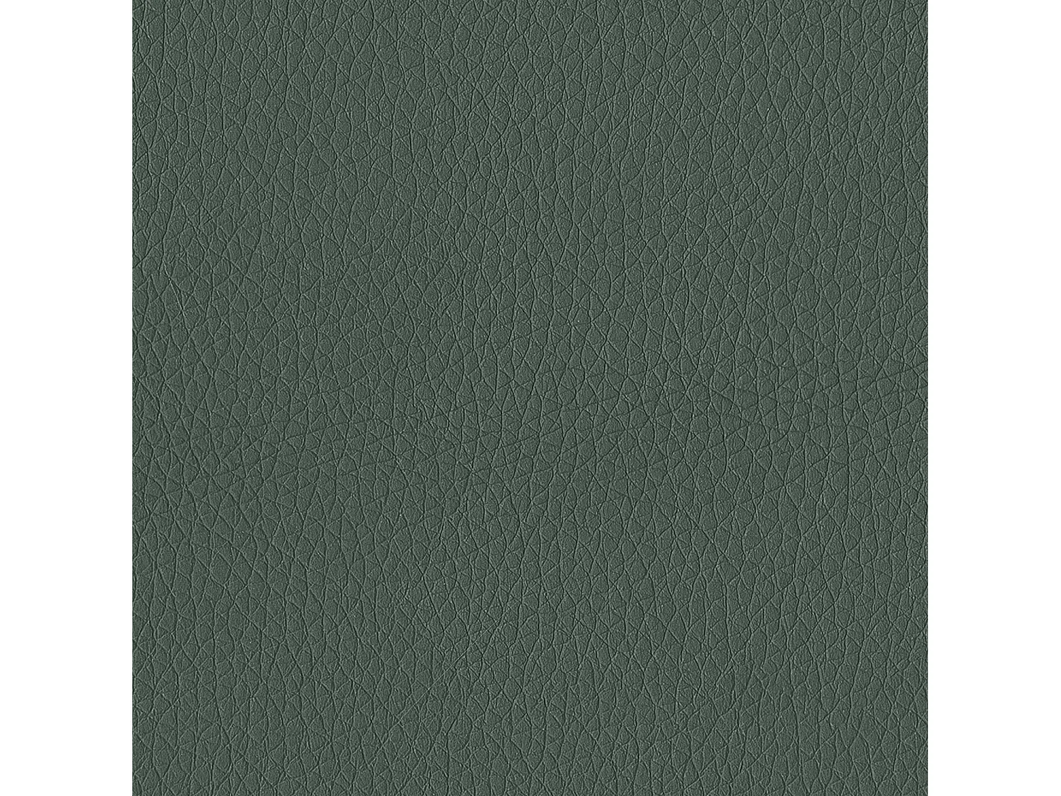 Ensemble de 2 chaises antea  structure gris charbon en éco-cuir vert foncé