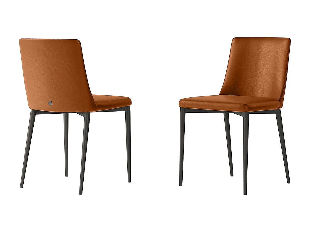 Set van 2 stoelen met antracietgrijs geraamte in sienna leer