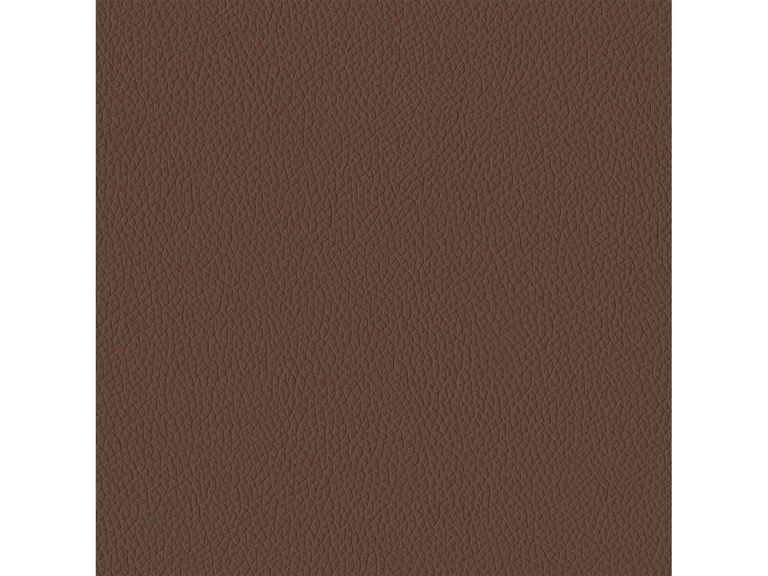 Set van 2 makostoelen - antracietgrijs frame, hazelnootleer