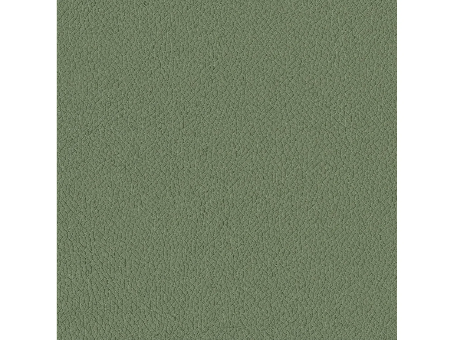 Set van 2 stoelen met antracietgrijze structuur in salieleer