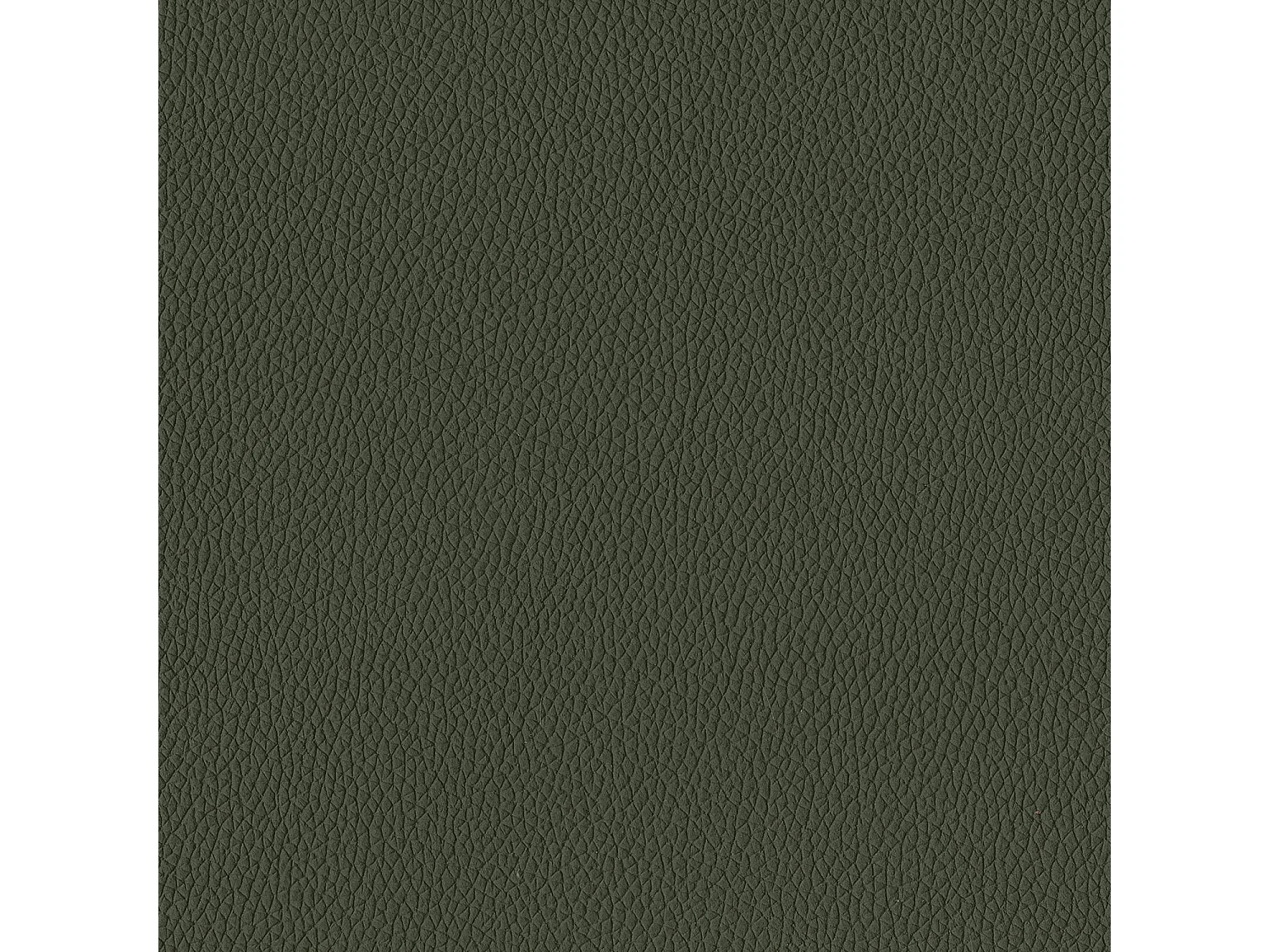 Set van 2 makostoelen - antracietgrijs frame, donkergroen leer