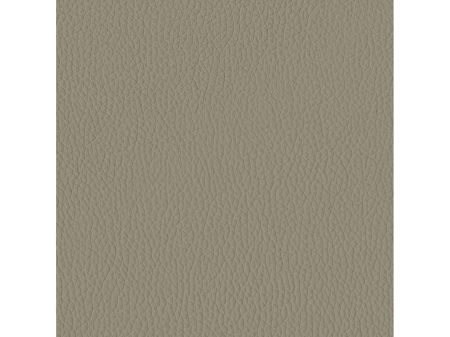 Ensemble de deux chaises antea  en gris charbon structure en cuir gris mouette