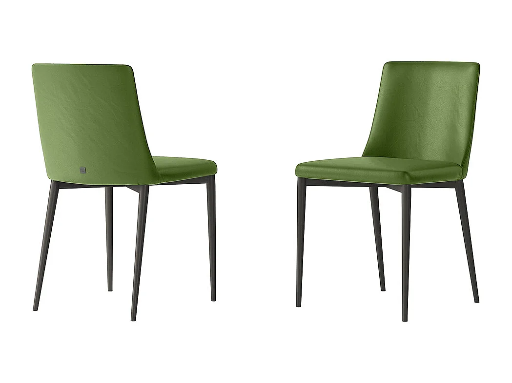 Ensemble de 2 chaises antia structure gris charbon en cuir éco-cuir vert forêt