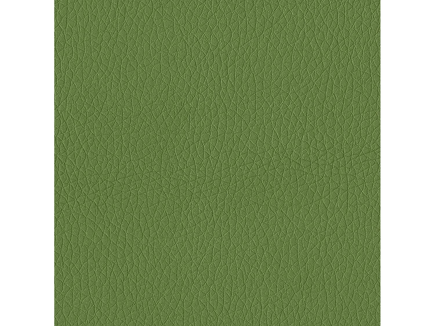 Ensemble de 2 chaises antia structure gris charbon en cuir éco-cuir vert forêt